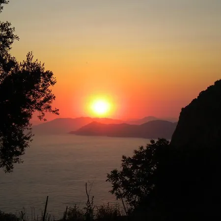 George House * فاراليا