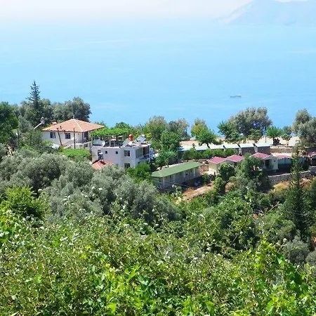 George House Faralya