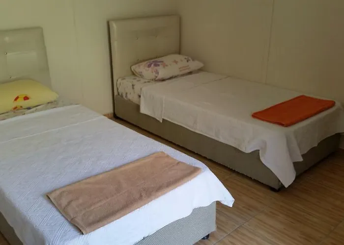 George House فندق مبيت وإفطار *