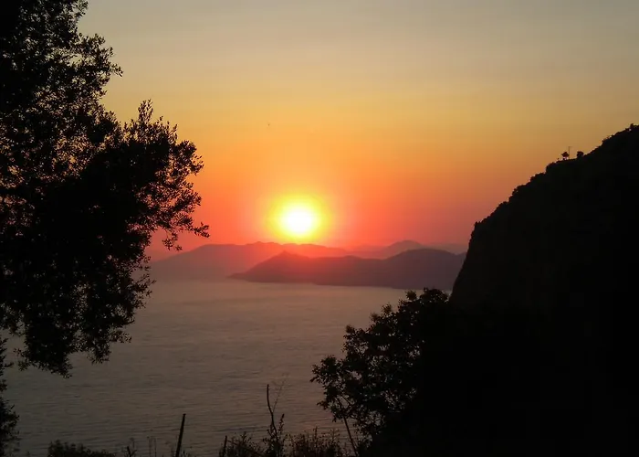 George House * Faralya