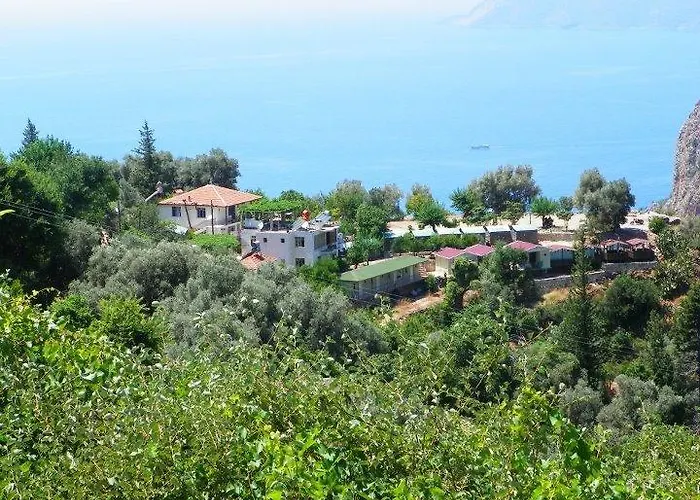 George House Faralya