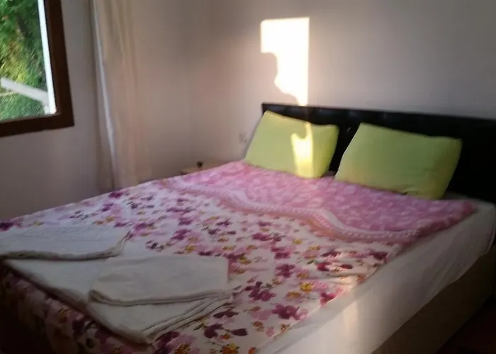 Bed & Breakfast George House *